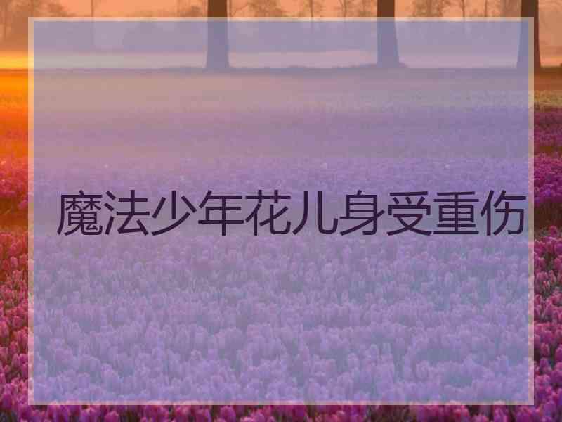 魔法少年花儿身受重伤