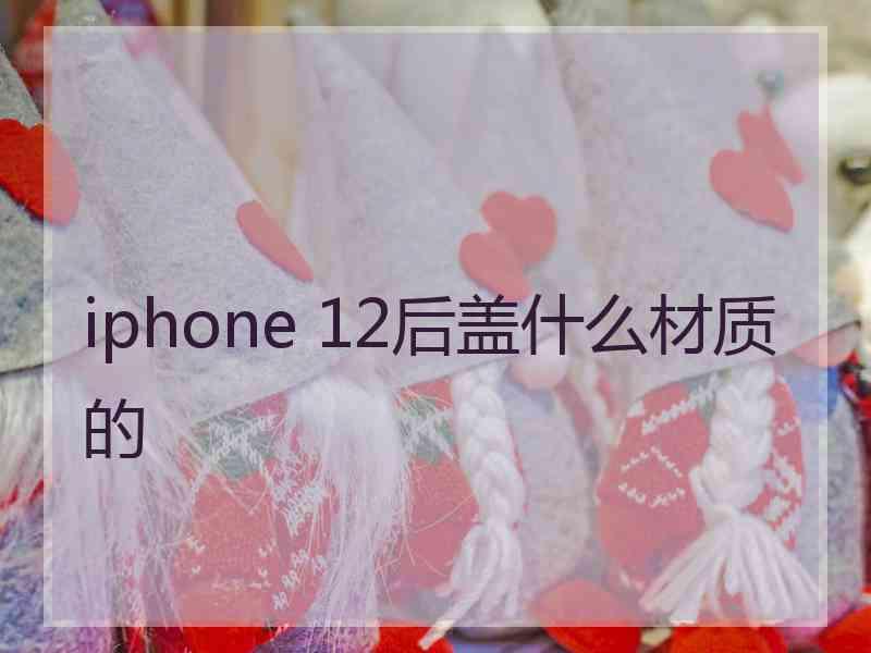 iphone 12后盖什么材质的