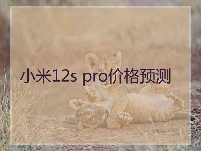 小米12s pro价格预测