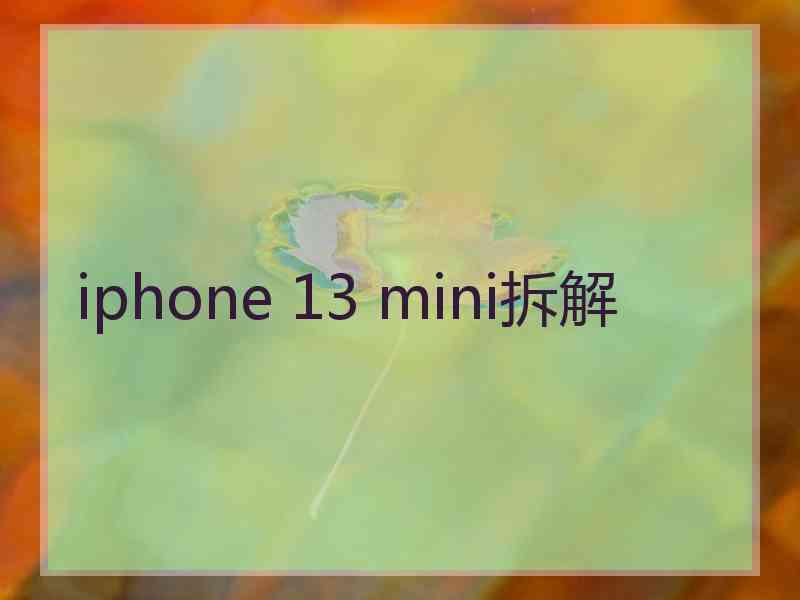 iphone 13 mini拆解