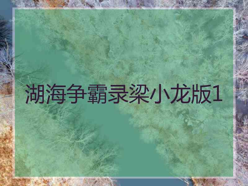 湖海争霸录梁小龙版1