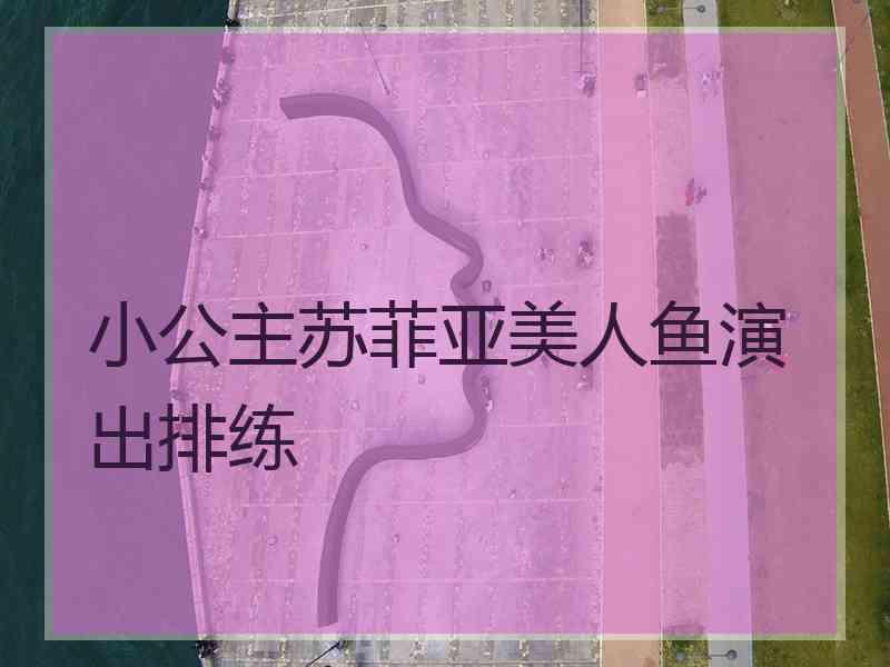 小公主苏菲亚美人鱼演出排练