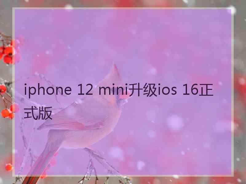 iphone 12 mini升级ios 16正式版