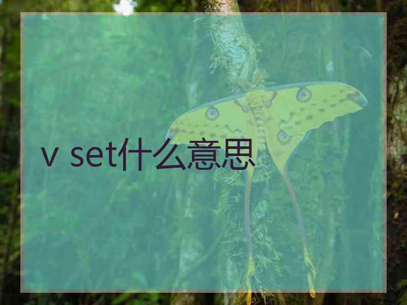 v set什么意思