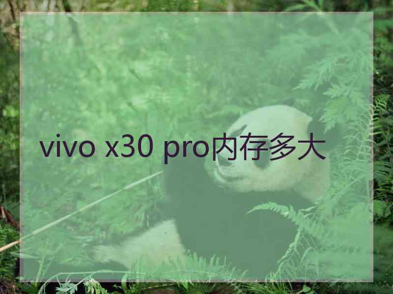 vivo x30 pro内存多大