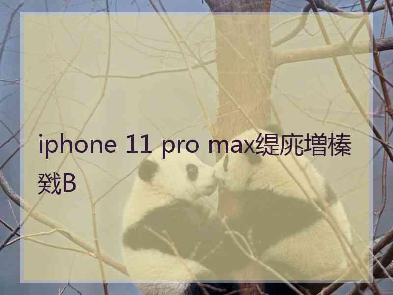 iphone 11 pro max缇庣増榛戣В