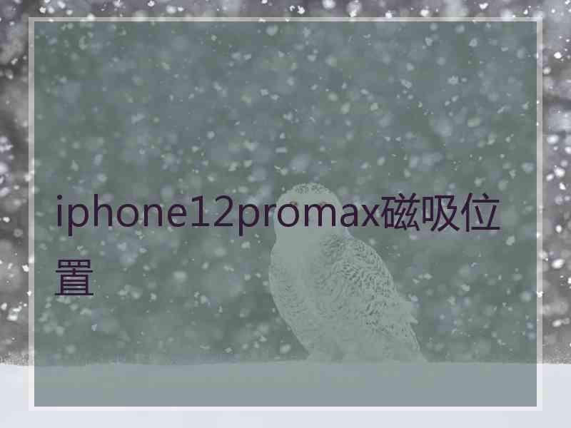 iphone12promax磁吸位置