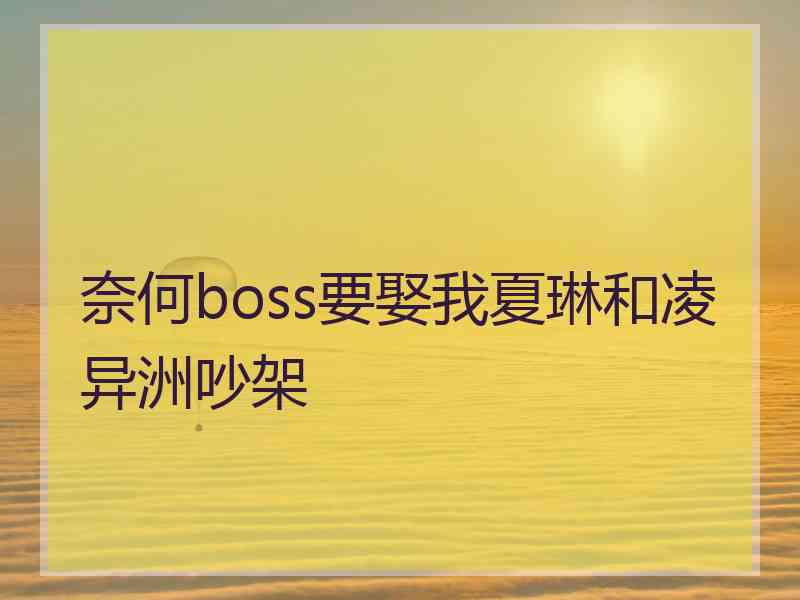 奈何boss要娶我夏琳和凌异洲吵架