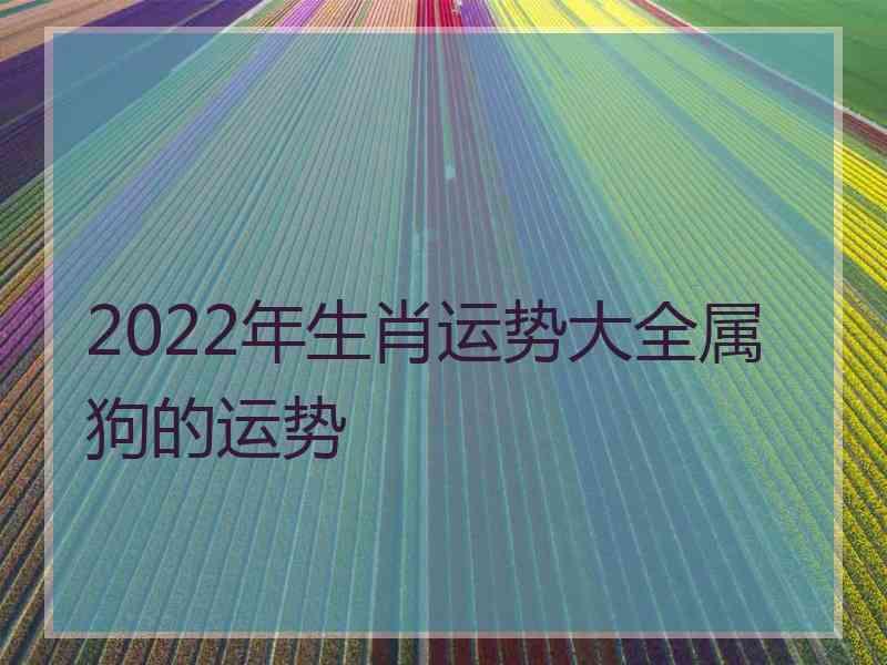 2022年生肖运势大全属狗的运势