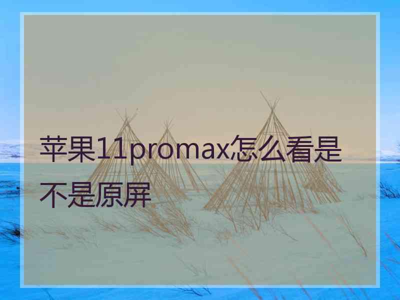 苹果11promax怎么看是不是原屏