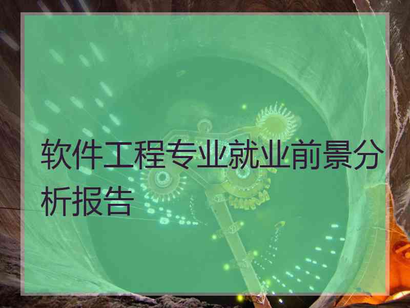 软件工程专业就业前景分析报告