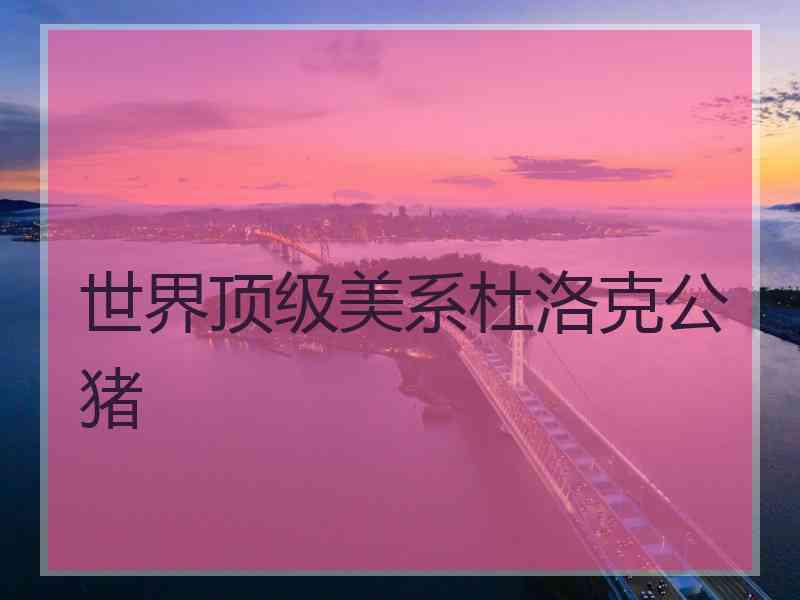 世界顶级美系杜洛克公猪