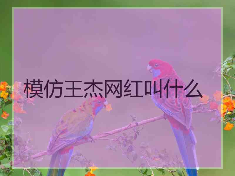 模仿王杰网红叫什么