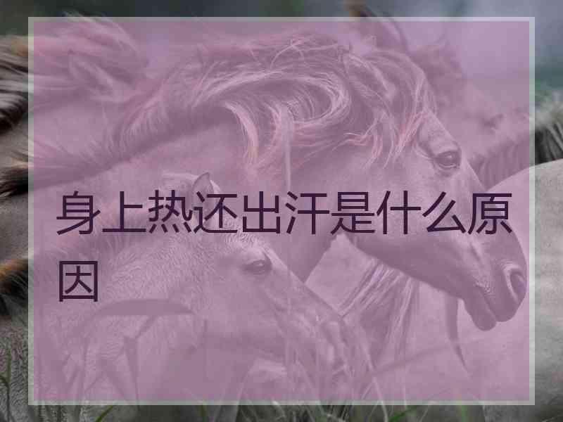 身上热还出汗是什么原因