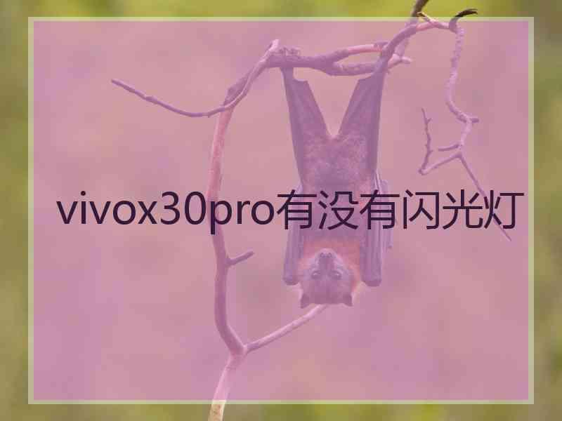 vivox30pro有没有闪光灯