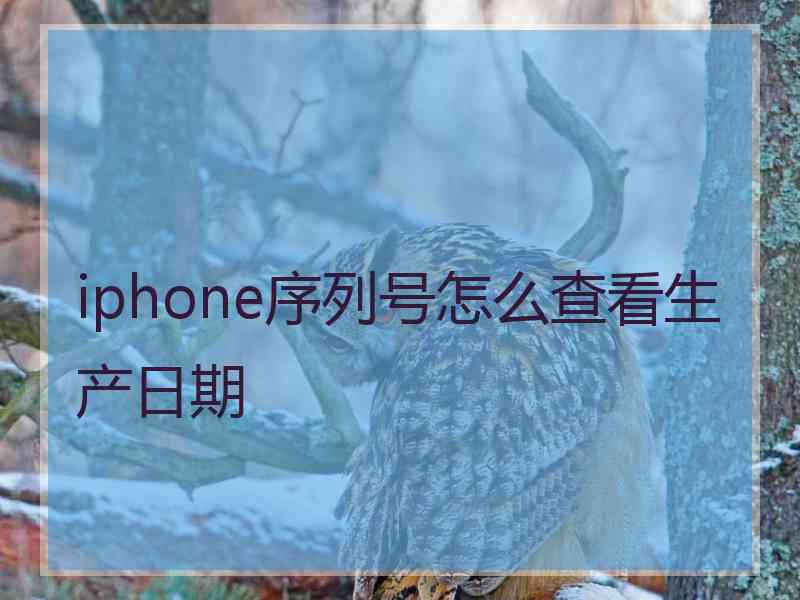 iphone序列号怎么查看生产日期