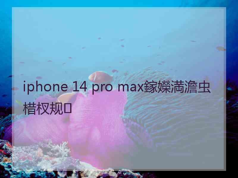 iphone 14 pro max鎵嬫満澹虫棤杈规