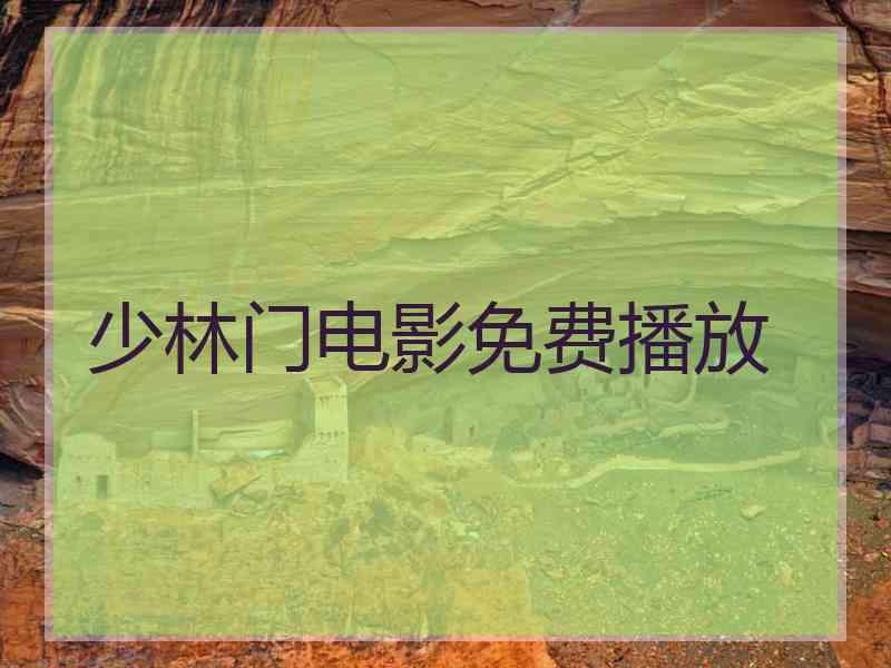 少林门电影免费播放