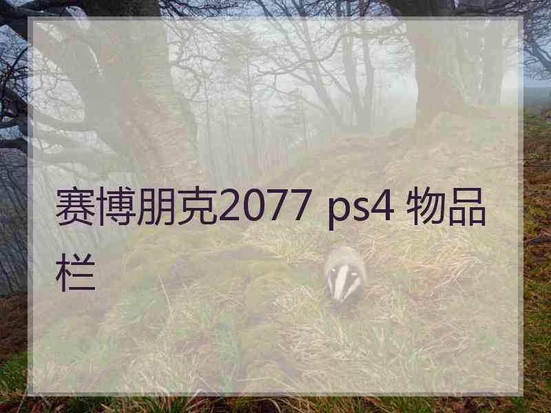 赛博朋克2077 ps4 物品栏