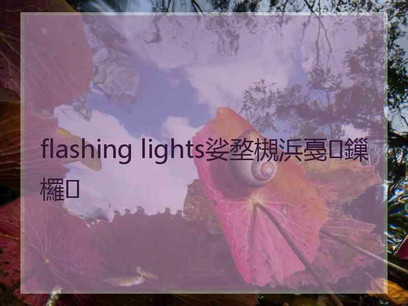 flashing lights娑堥槻浜戞鏁欏