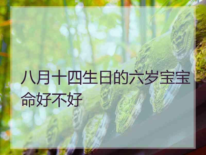 八月十四生日的六岁宝宝命好不好