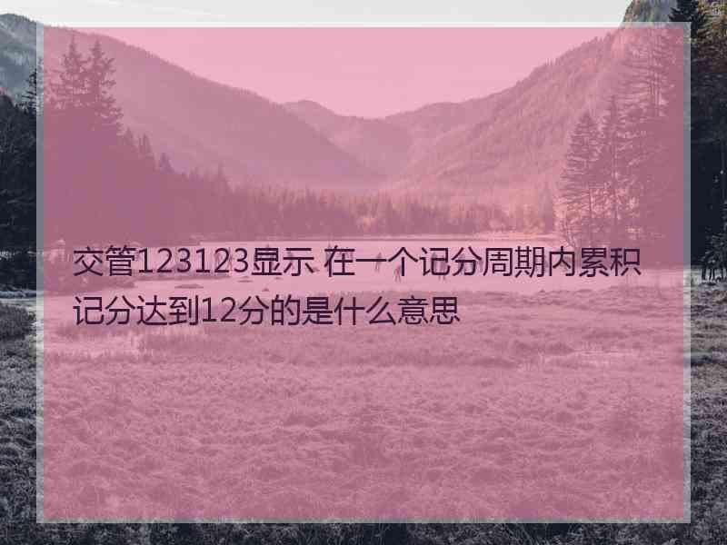 交管123123显示 在一个记分周期内累积记分达到12分的是什么意思