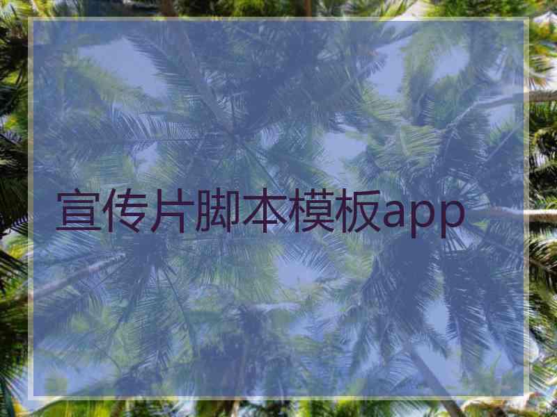 宣传片脚本模板app