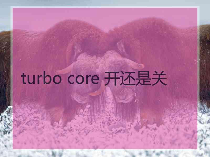 turbo core 开还是关