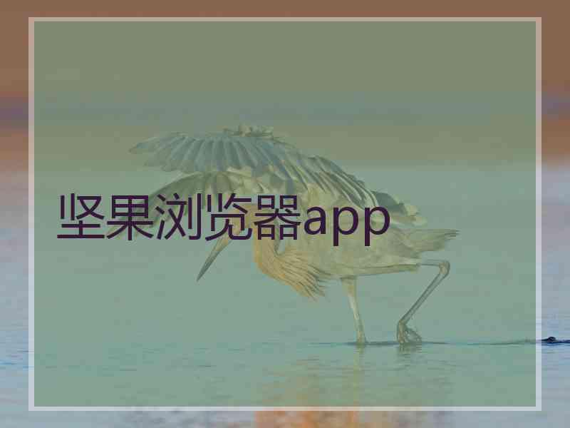 坚果浏览器app