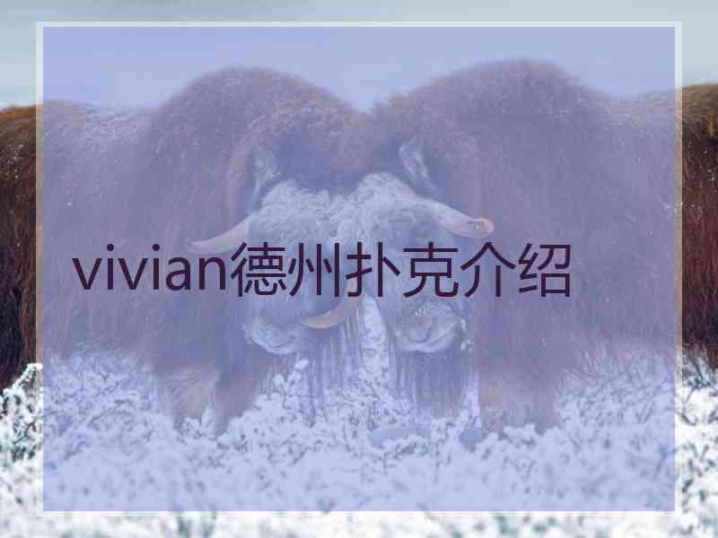 vivian德州扑克介绍