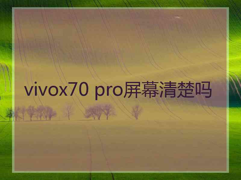 vivox70 pro屏幕清楚吗