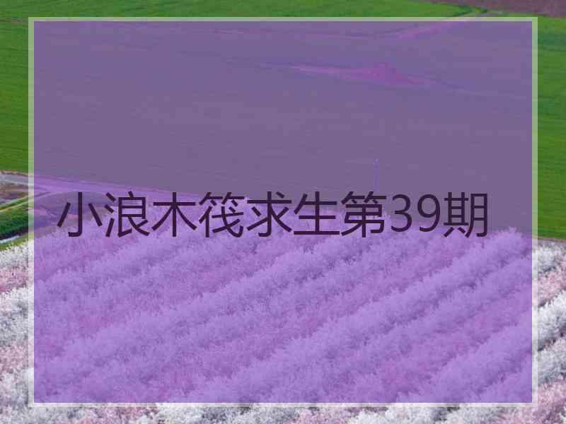 小浪木筏求生第39期