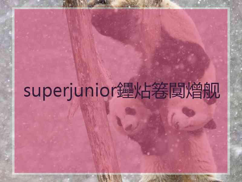 superjunior鑸炶箞闃熷舰