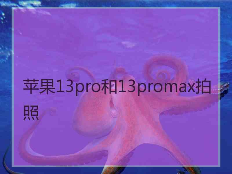 苹果13pro和13promax拍照