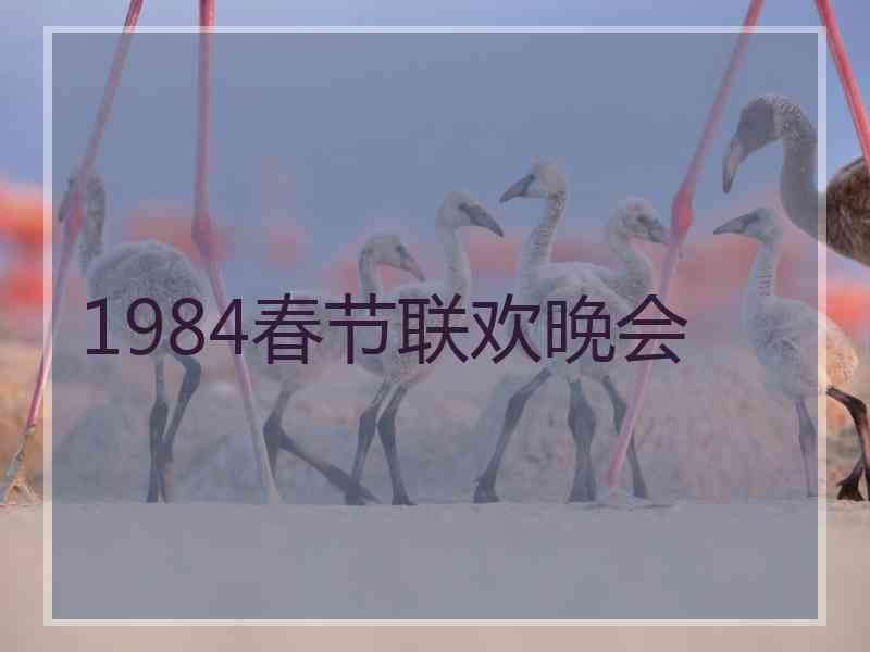 1984春节联欢晚会