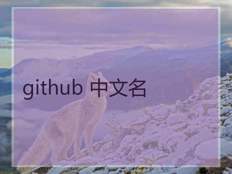 github 中文名