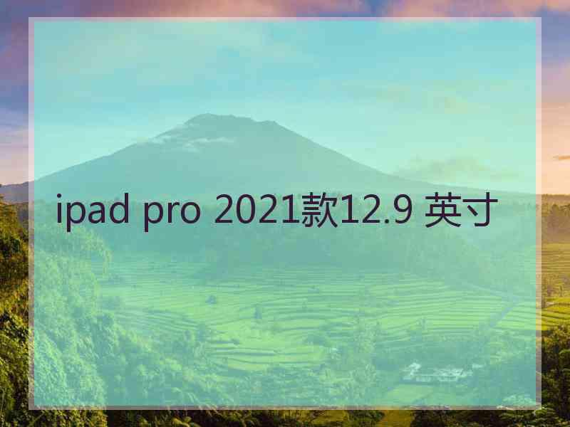 ipad pro 2021款12.9 英寸