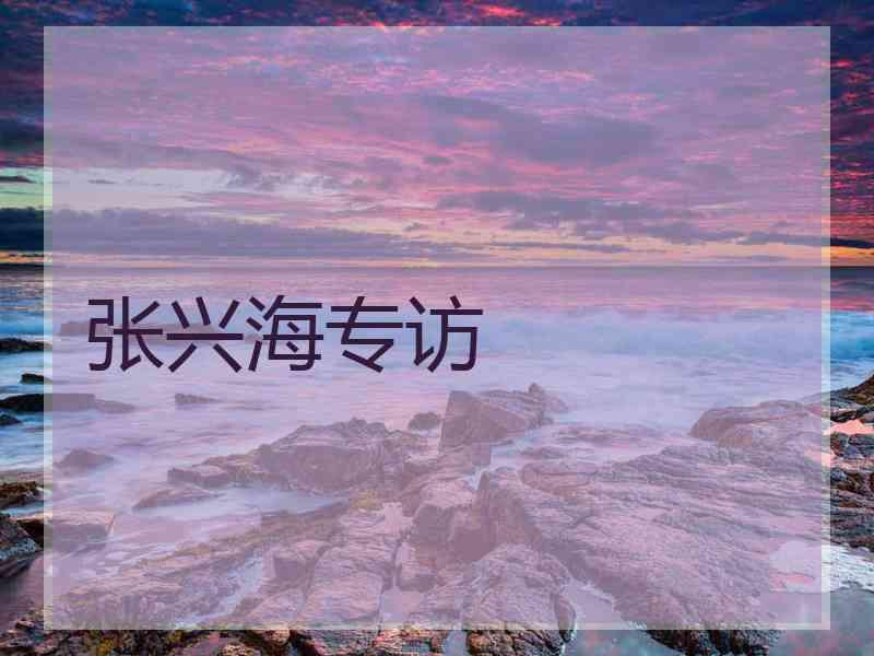 张兴海专访