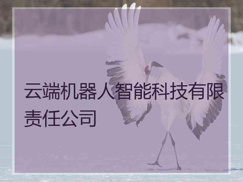 云端机器人智能科技有限责任公司