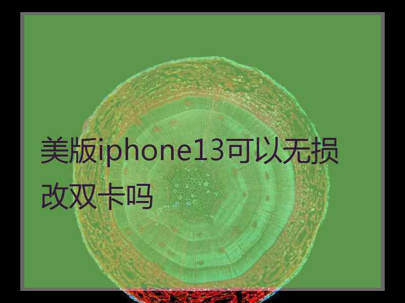 美版iphone13可以无损改双卡吗