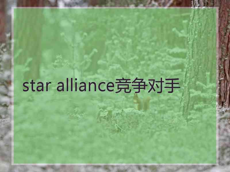 star alliance竞争对手