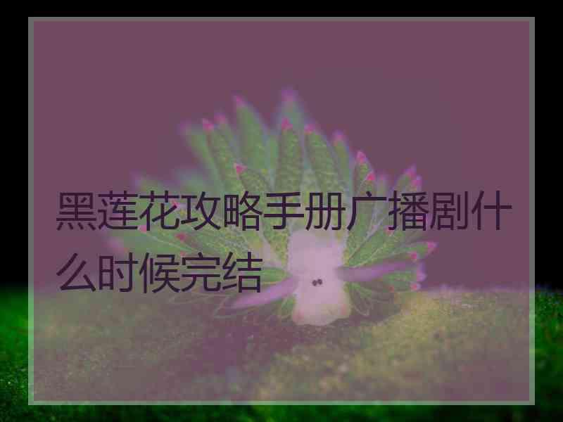 黑莲花攻略手册广播剧什么时候完结