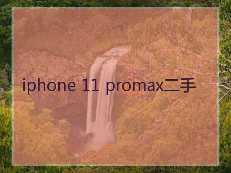 iphone 11 promax二手