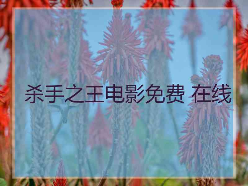 杀手之王电影免费 在线