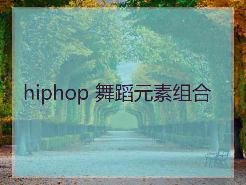 hiphop 舞蹈元素组合