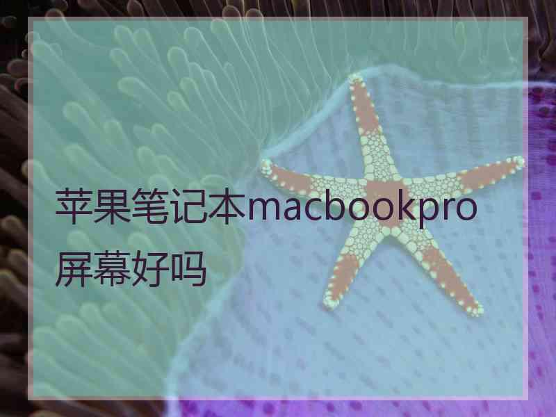 苹果笔记本macbookpro屏幕好吗