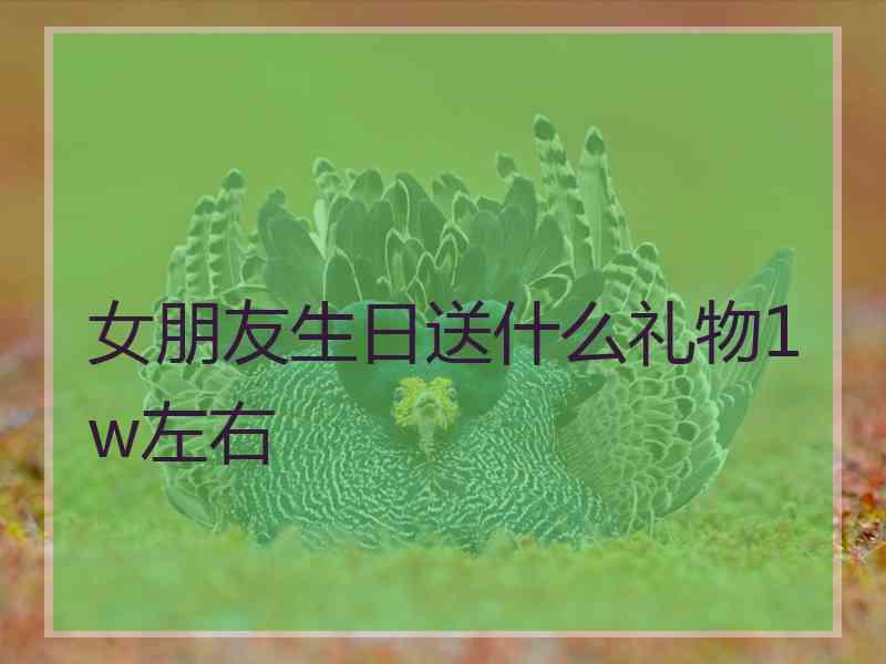 女朋友生日送什么礼物1w左右