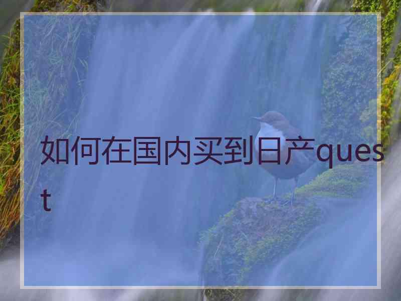 如何在国内买到日产quest