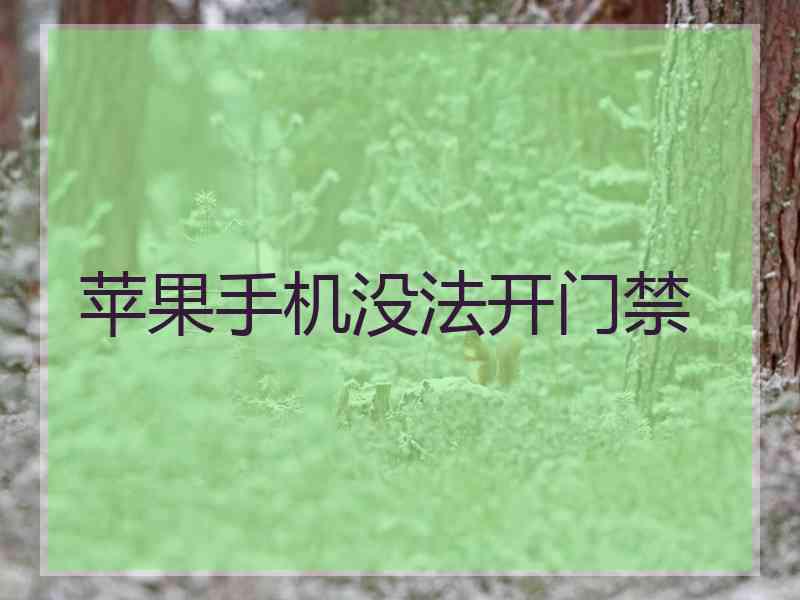 苹果手机没法开门禁