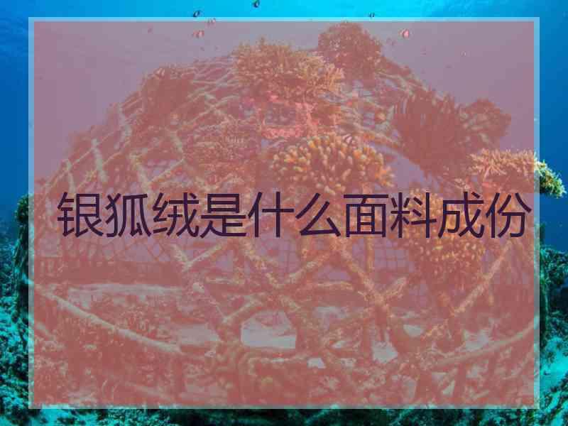 银狐绒是什么面料成份